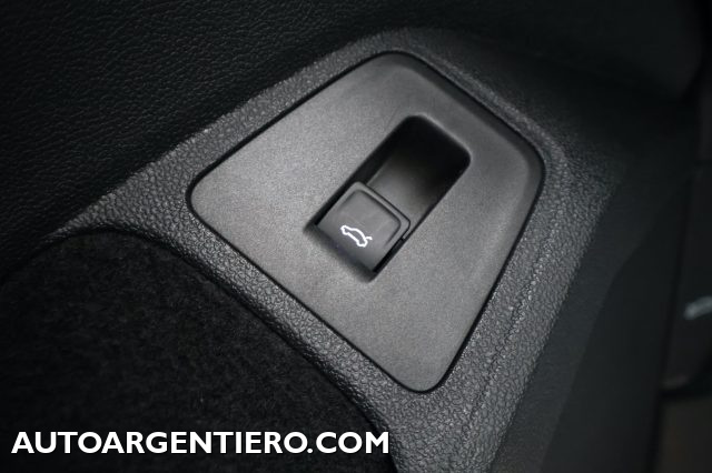 VOLKSWAGEN Tiguan usata, con Controllo vocale