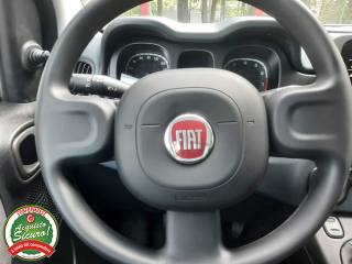FIAT Panda usata, con Isofix