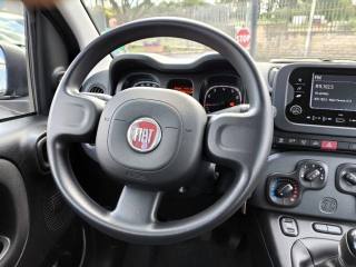 FIAT Panda usata 9