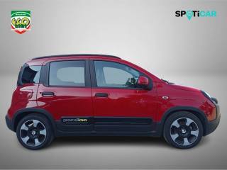 FIAT Panda Cross usata, con Chiusura centralizzata