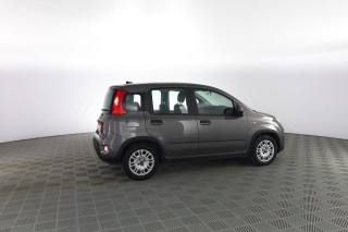 FIAT Panda usata 2