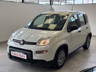 FIAT Panda 1.0 FireFly S&S Hybrid *UNICO PROP.*5 POSTI*