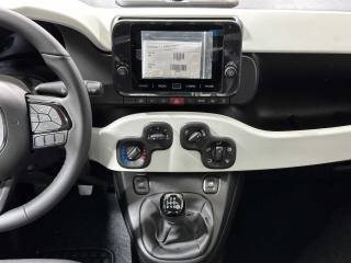 FIAT Panda usata 13