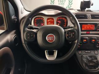 FIAT Panda Cross usata, con Volante multifunzione