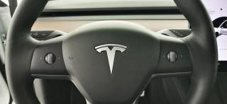TESLA Model 3 usata 66