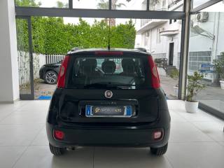 FIAT Panda usata, con Alzacristalli elettrici