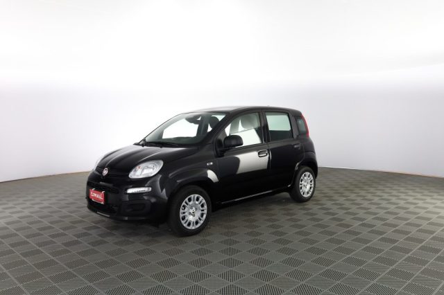 FIAT Panda usata 6