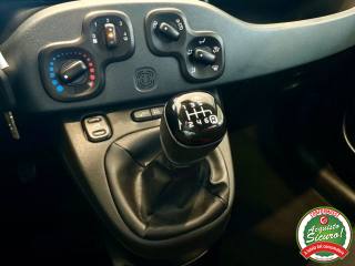 FIAT Panda usata, con Cronologia tagliandi