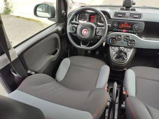 FIAT Panda usata, con Volante multifunzione