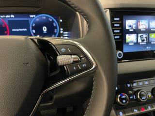 SKODA Karoq usata, con Cruise Control