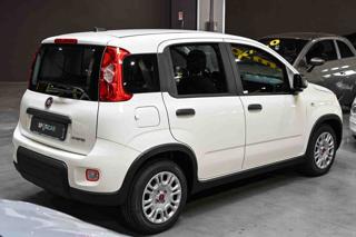 FIAT Panda usata, con Antifurto