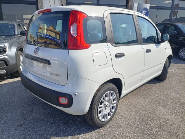 FIAT Panda usata, con Climatizzatore