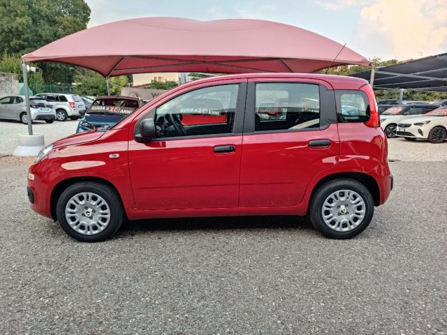 FIAT Panda usata, con Alzacristalli elettrici