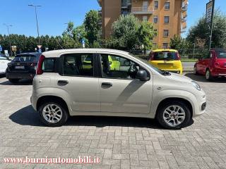 FIAT Panda usata, con Alzacristalli elettrici