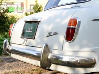 FIAT 1100 usata 33