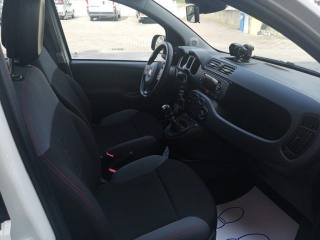 FIAT Panda usata, con Volante multifunzione