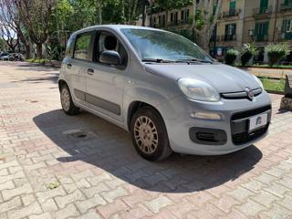 FIAT Panda usata, con Airbag Passeggero