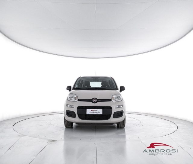 FIAT Panda usata 4