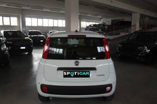 FIAT Panda usata, con Alzacristalli elettrici