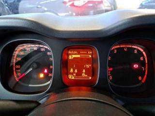 FIAT Panda usata, con Fendinebbia
