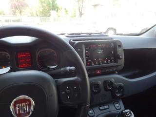 FIAT Panda Cross usata, con Fendinebbia