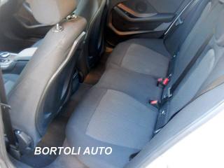 BMW 116 usata, con Controllo automatico clima