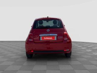 FIAT 500 usata 3