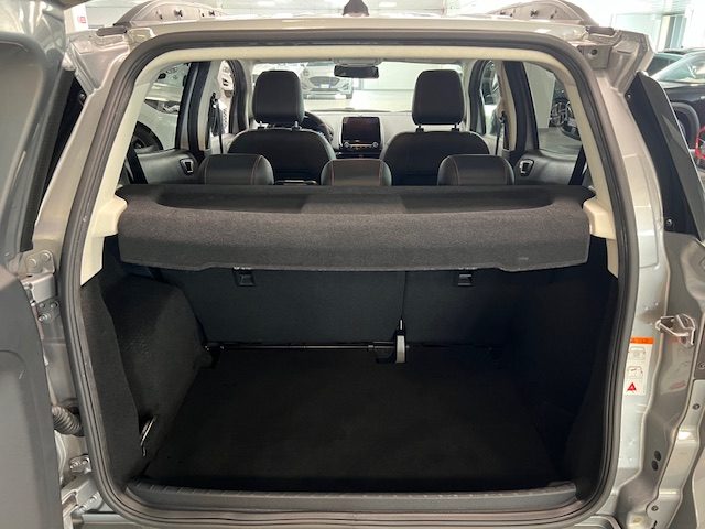 FORD EcoSport usata, con Fendinebbia