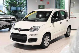 FIAT Panda 1.0 FireFly S&S GPL Icon