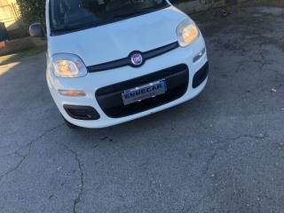 FIAT Panda usata, con Airbag Passeggero