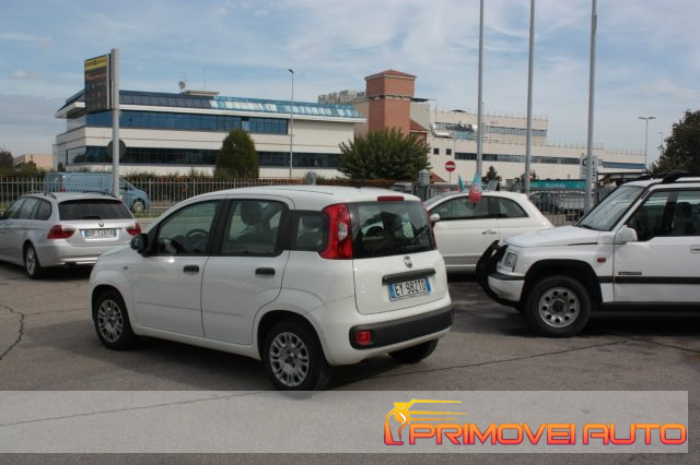 FIAT New Panda usata 10