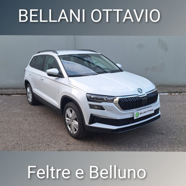SKODA Karoq usata, con ABS