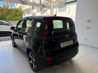 FIAT Panda usata, con Climatizzatore