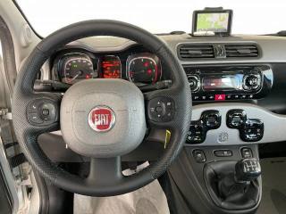 FIAT Panda usata 21