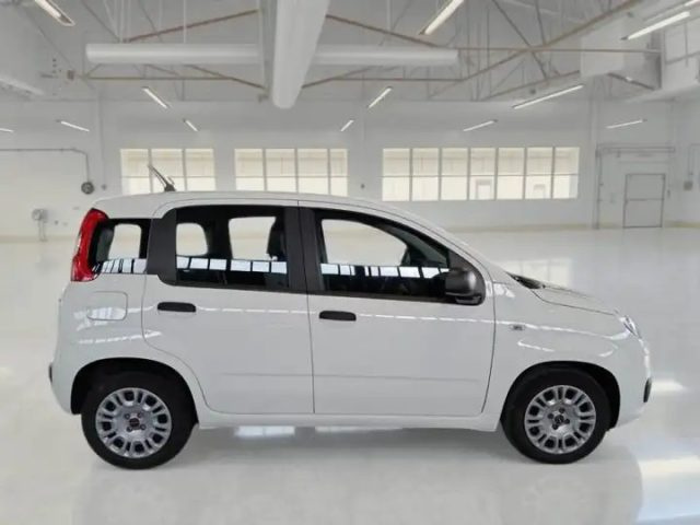 FIAT Panda usata, con Antifurto