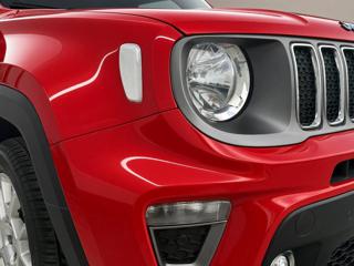 JEEP Renegade usata, con Bracciolo