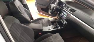 SKODA Superb usata 35