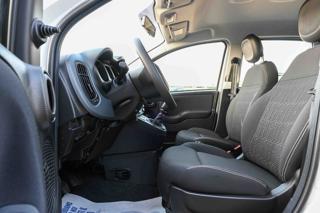 FIAT Panda usata 12