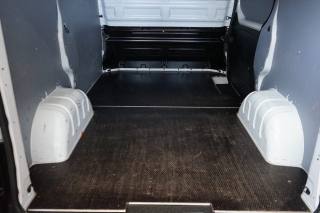 RENAULT Trafic usata, con Filtro antiparticolato