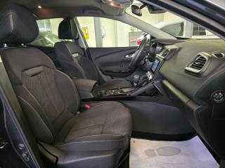 RENAULT Kadjar usata, con Cronologia tagliandi