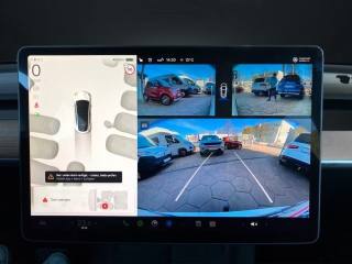 TESLA Model Y usata, con Cronologia tagliandi