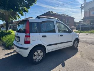 FIAT Panda usata 1