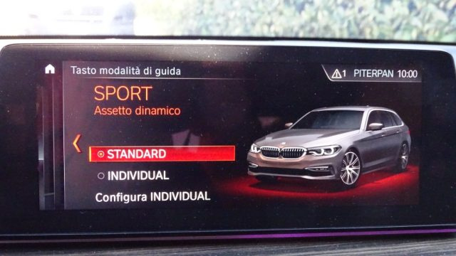 BMW 530 usata 110