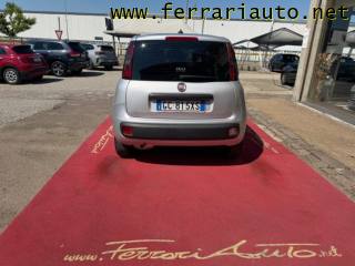 FIAT Panda usata, con Immobilizzatore elettronico