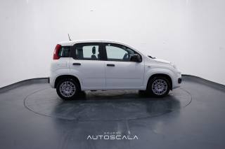FIAT New Panda usata, con Controllo trazione
