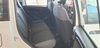 FIAT Panda usata, con Cronologia tagliandi