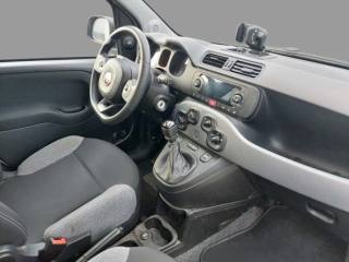 FIAT Panda usata, con Alzacristalli elettrici