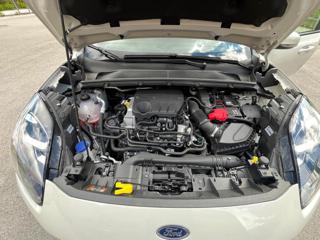 FORD Puma usata, con Cruise Control