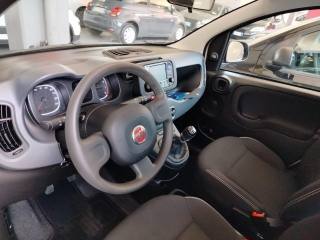 FIAT Panda usata 15