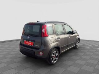 FIAT Panda usata 5